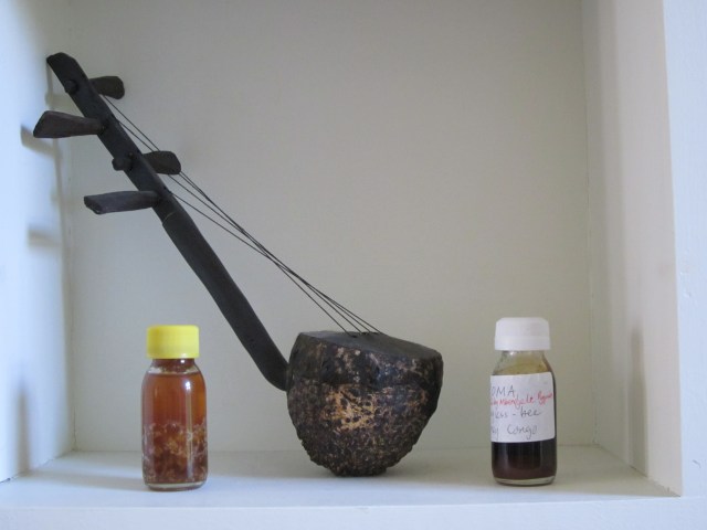 Music and a taste of two honeys. The Beatles never used an instrument like this one from Zambia, made from gourd, skin, wood and - the strings - recycled rubber from car tyres