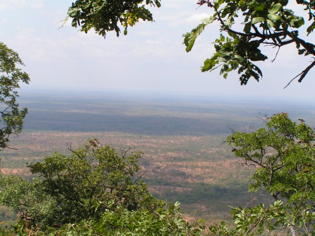 KONICA MINOLTA DIGITAL CAMERA