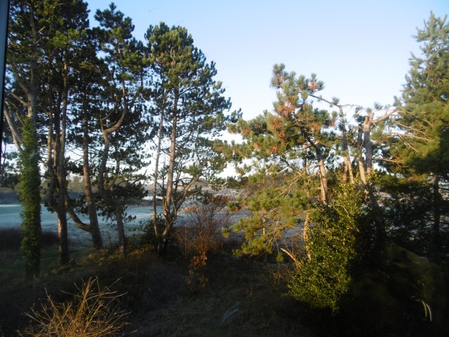 A recent frost, for no particular reason