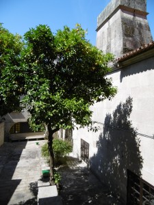Orange tree in courtyard inside hotel