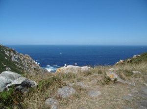 Spot the two chicks?