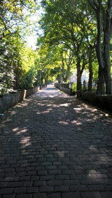 WP_20160703_17_15_57_Pro