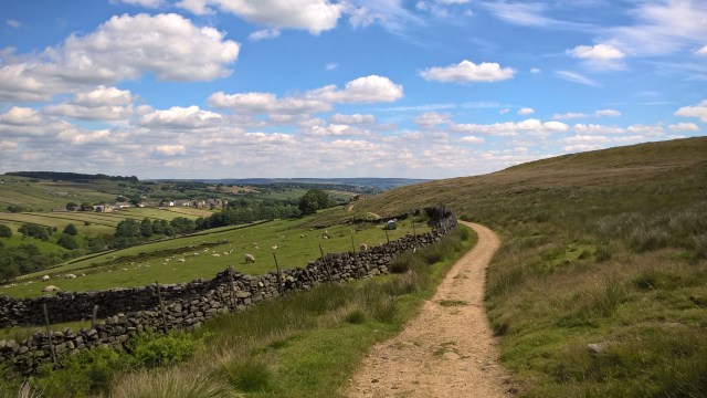 WP_20160704_11_29_28_Pro