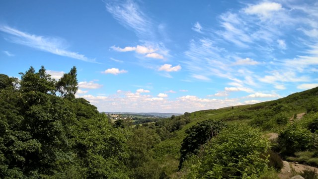 WP_20160704_12_09_48_Pro