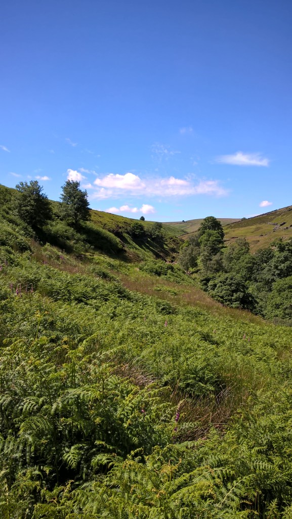 Top Withens, a mile or more too far, in the distance 