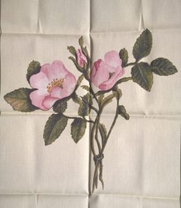 Charlotte's roses on a new tea towel