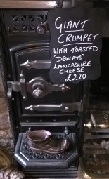 WP_20160716_15_14_32_Pro