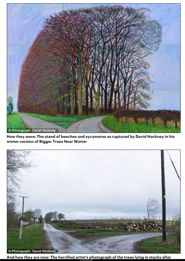 Images copyright David Hockney as published in the Daily Mail Online (sorry) - he was going to paint the trees through the  seasons and had done summer and winter. 