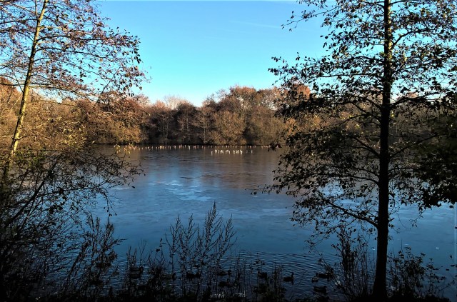 wp_20161126_12_56_32_pro